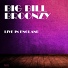 Big Bill Broonzy