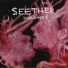Seether