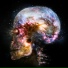 Craniumchris