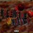 Valentine Valley
