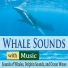 Robbins Island Music Group