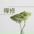 大自然聲音