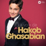 Hakob Ghasabian feat. Arie van Beck