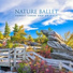 Natural Healing Music Zone