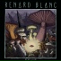Renard Blanc