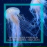 Organic Noise From Ibiza