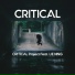 CRITICAL Project feat. LIE NING