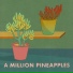 A Million Pineapples