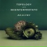 Topology Misinterprotato
