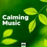 Calming Music Academy