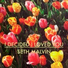 Seth Malvin