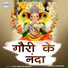 Vijay Singh Rajpurohit