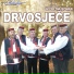 Drvosjece
