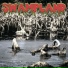 Swampland