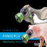 Ambito