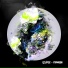 frdmoon
