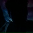 Ancreator
