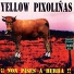 Yellow Pixoliñas