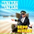 Sepp Niveau