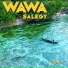 Wawa Salegy