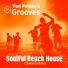 Ted Peters, TM Grooves