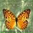The Butterfly Chillout Ensemble
