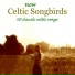 Celtic Dancer