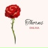 Dalma