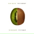 Timoti ft Bogdan Titomir