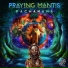Praying-Mantis