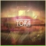 Tore