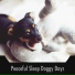 Dog Sleep Zone