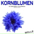 Wolle