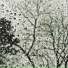 Rainfall, Relaxation, The Relaxation Principle