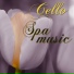 Spa Music Collective