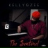 Kellygzee