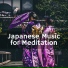 Night Nick & Meditation Guru
