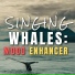 Whale Sounds
