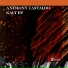 03. Anthony Castaldo AwesomeRecords