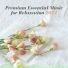 Natural Relaxation Music Club