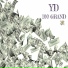 YD