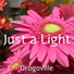 Drogoville