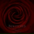 Mickael Anselmi feat. Kiswaéli, Marine Arcoiris