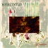 Hyacintus