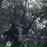 Коля Shif