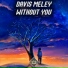 Davis Meley
