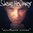 Steve Hofmeyr