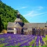 zen remastering