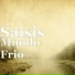 Saisis