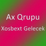 Ax Qrupu